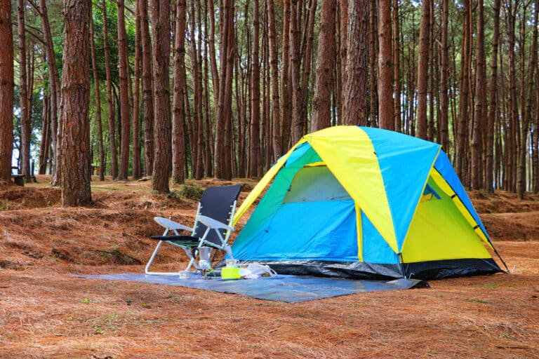 4 Top Backpacking Tent Options for Every Trekker
